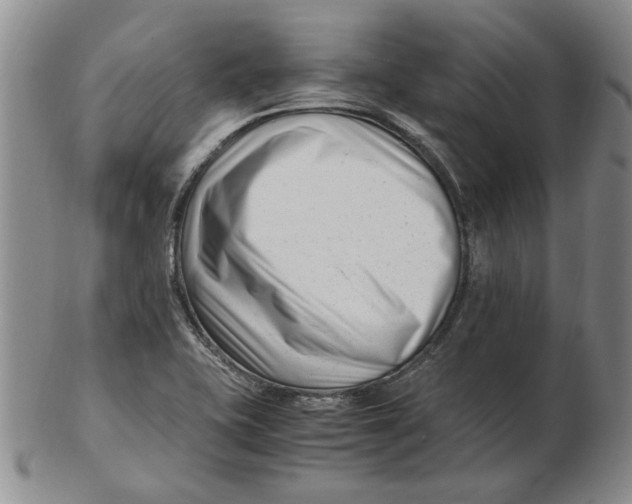 X0000102761415200809080931