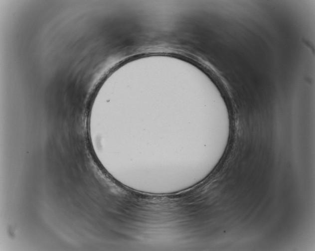 X0000102761416200809080931