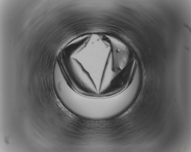 X0000102761417200809080931