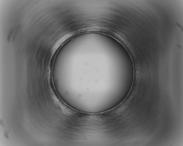 X0000102761418200809080931