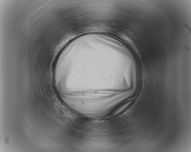 X0000102761419200809080931