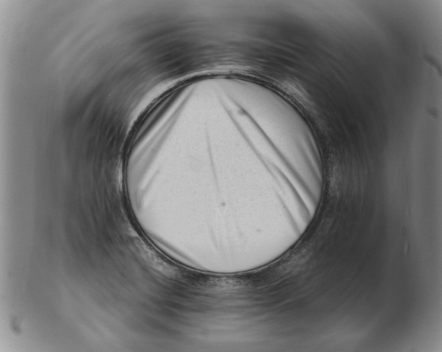 X0000102761420200809080931