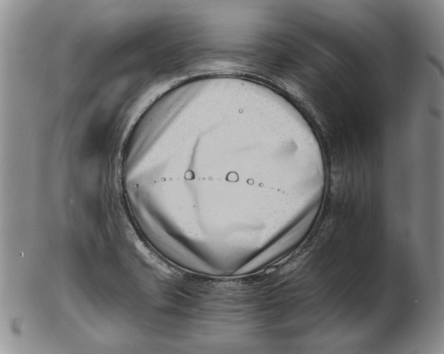 X0000102761421200809080931