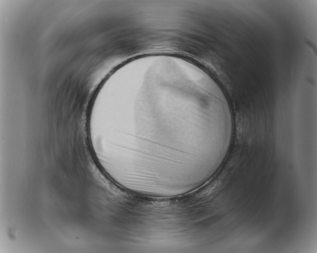 X0000102761422200809080931