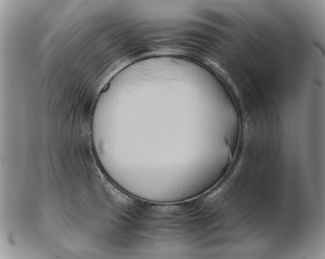 X0000102761425200809080931