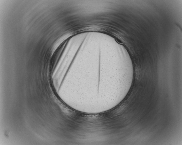 X0000102761426200809080931