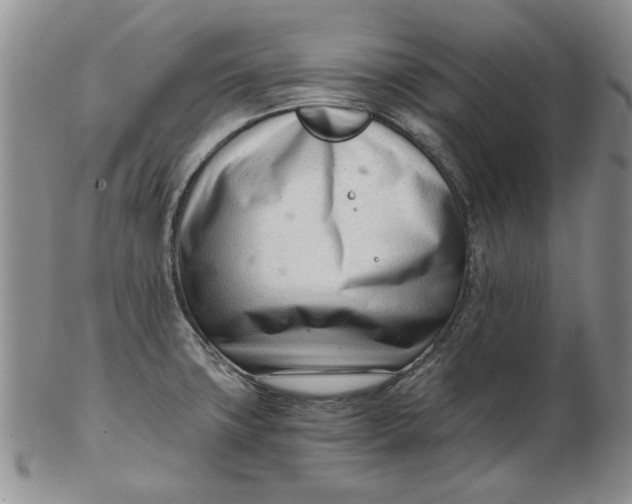 X0000102761427200809080931