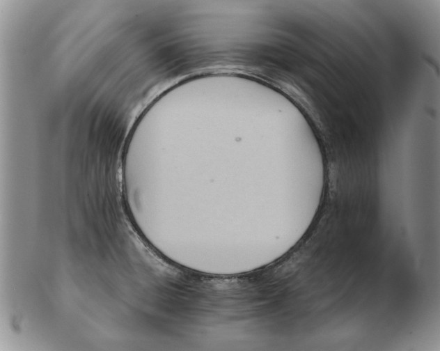 X0000102761428200809080931