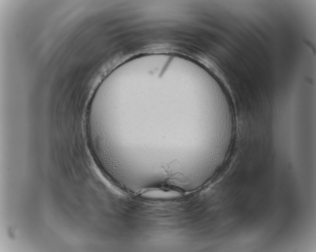 X0000102761429200809080931