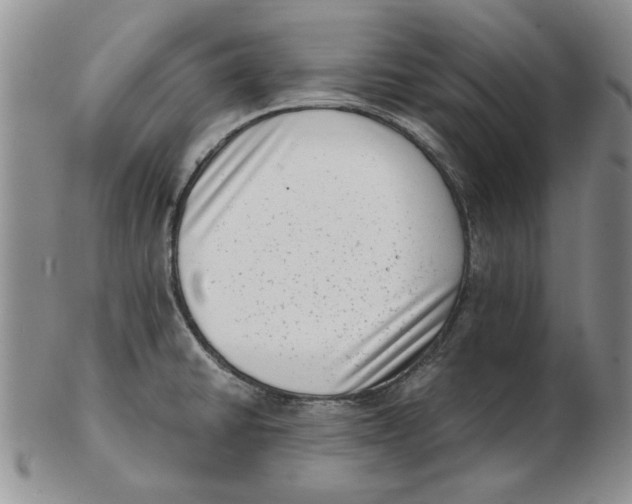 X0000102761430200809080931