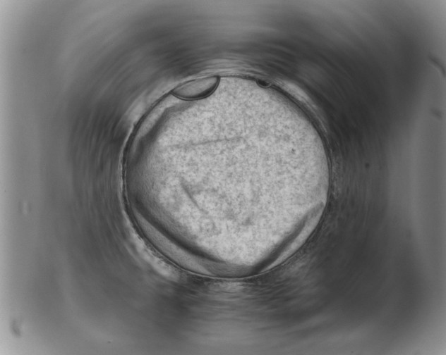 X0000102761431200809080931