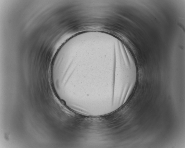 X0000102761432200809080931