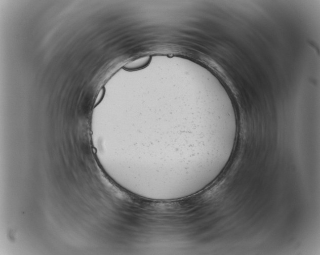 X0000102761433200809080931