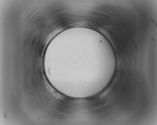 X0000102761434200809080931