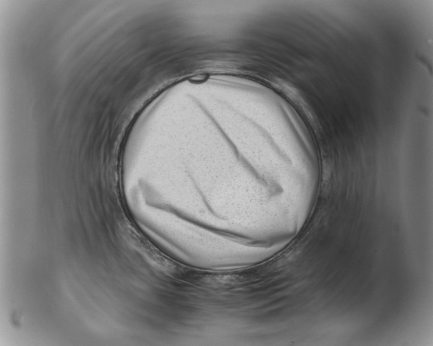 X0000102761435200809080931