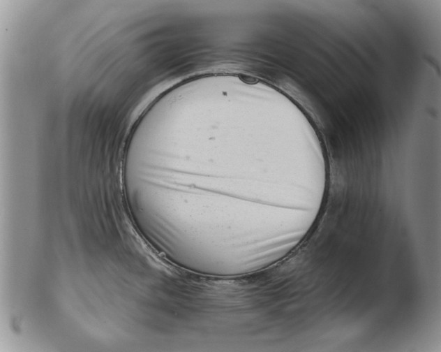 X0000102761436200809080931