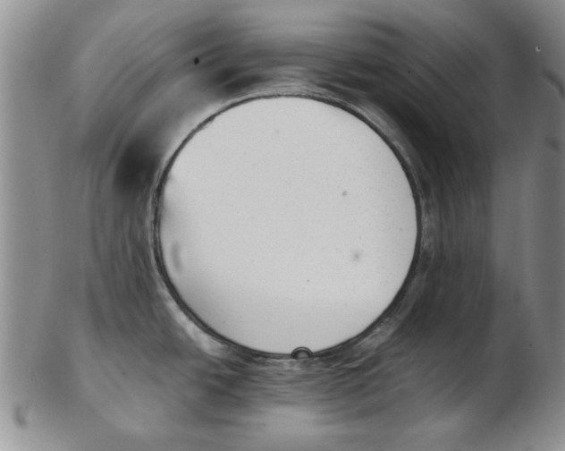 X0000102761438200809080931