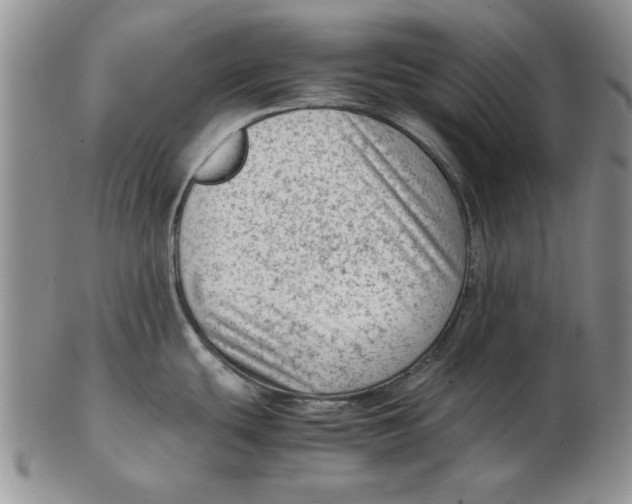 X0000102761439200809080931