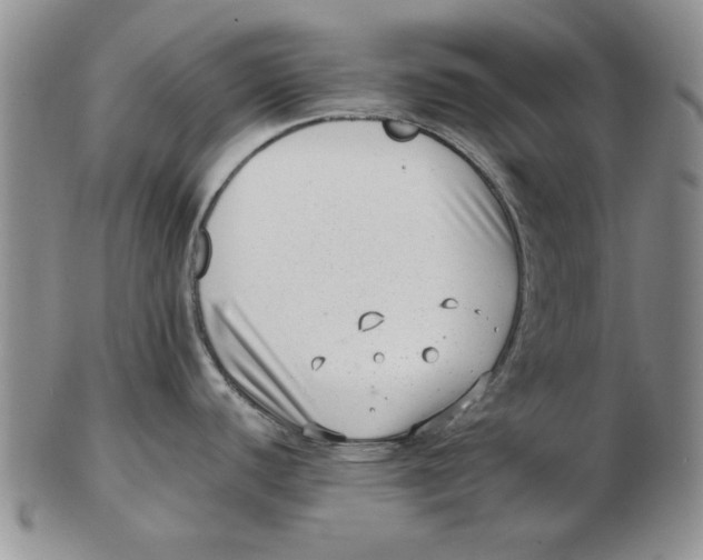 X0000102761440200809080931