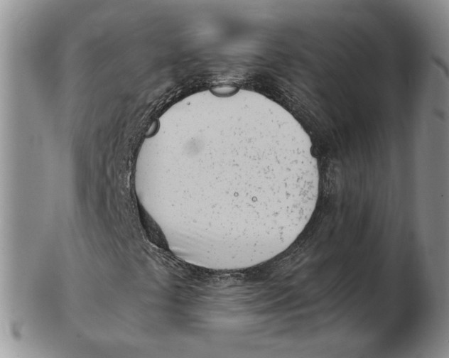 X0000102761441200809080930