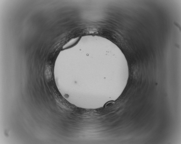 X0000102761442200809080930