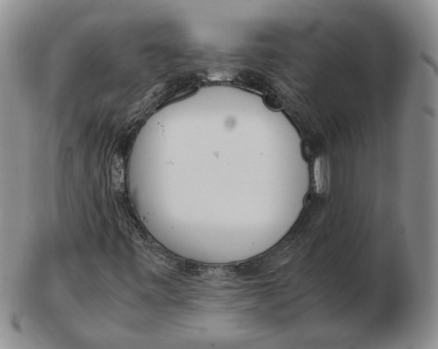 X0000102761443200809080930