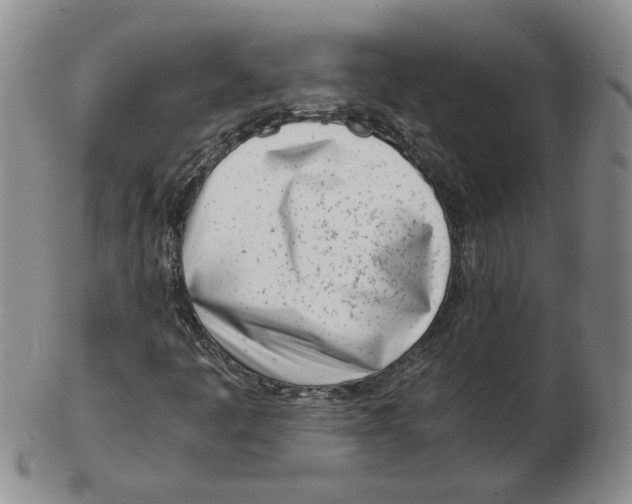 X0000102761445200809080930