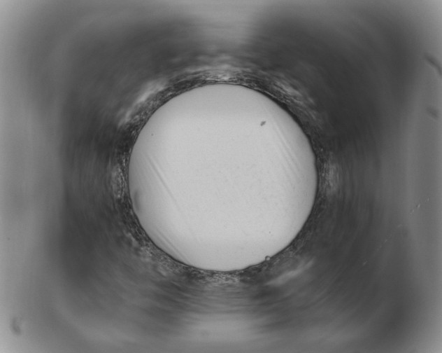 X0000102761446200809080930