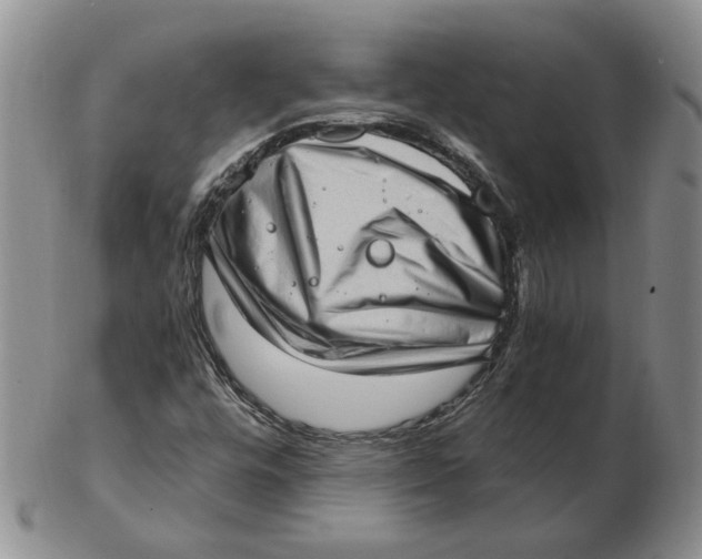 X0000102761448200809080930