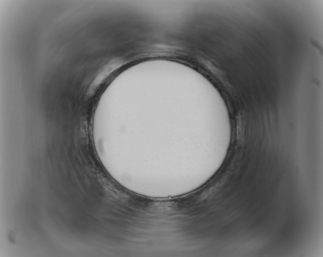 X0000102761453200809080930