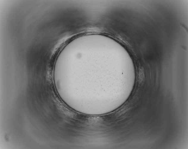 X0000102761454200809080930