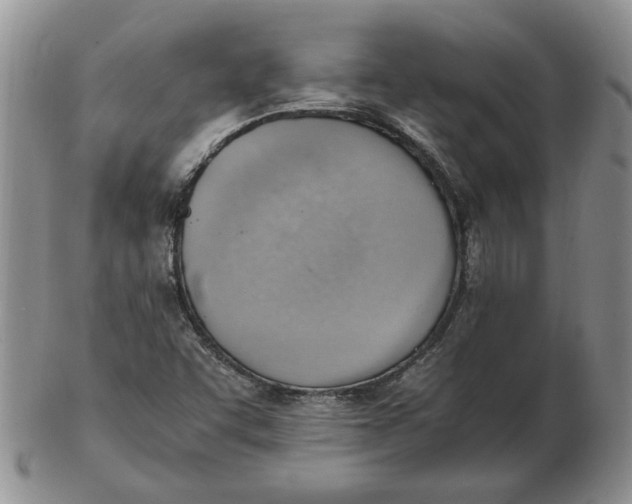 X0000102761455200809080930