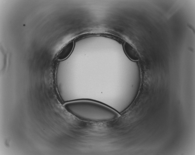 X0000102761456200809080930