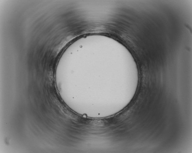 X0000102761457200809080930