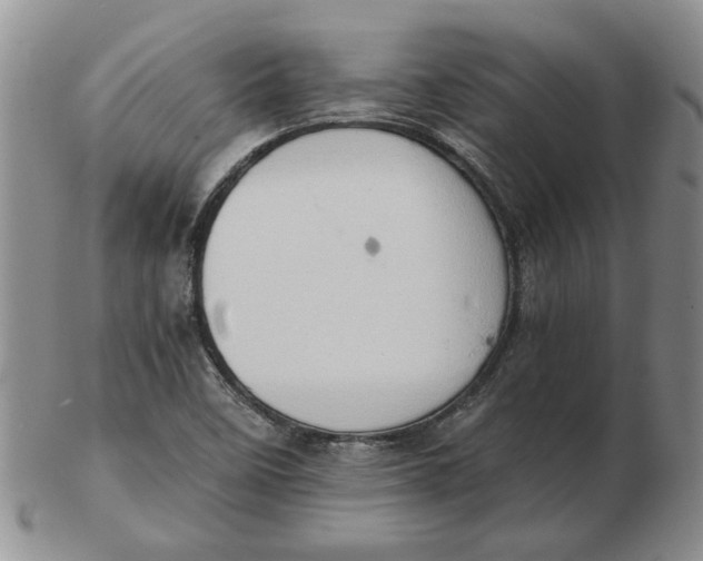 X0000102761458200809080930