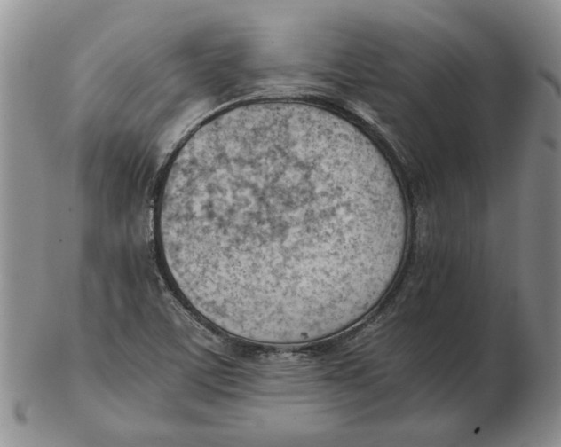 X0000102761459200809080930