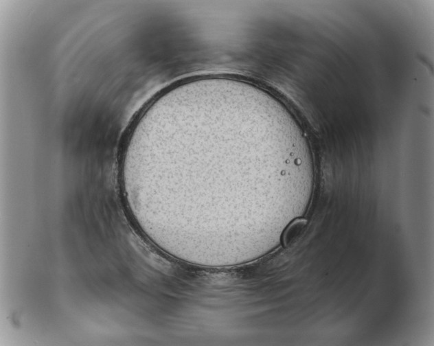 X0000102761460200809080930