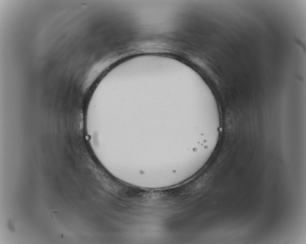 X0000102761461200809080930