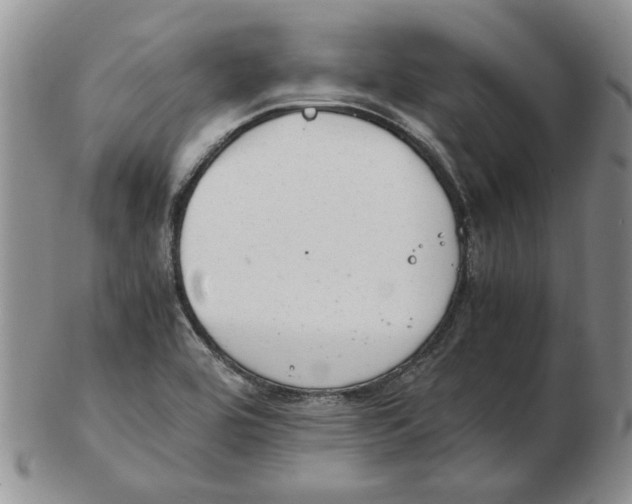 X0000102761464200809080930