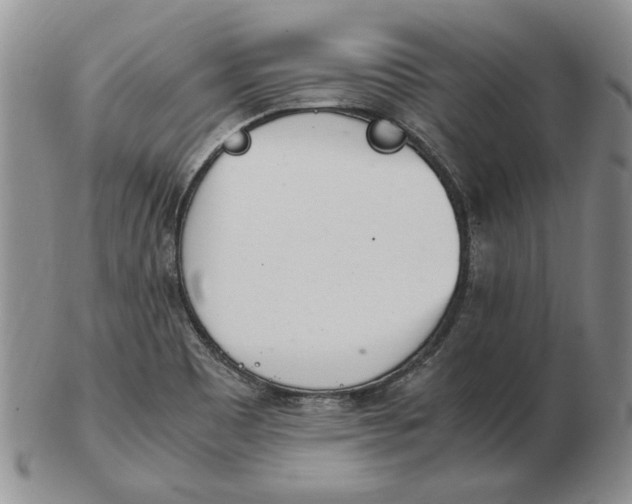 X0000102761465200809080930