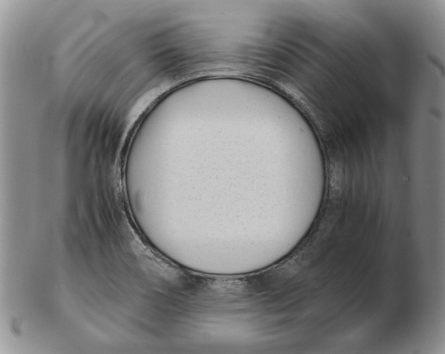 X0000102761466200809080930