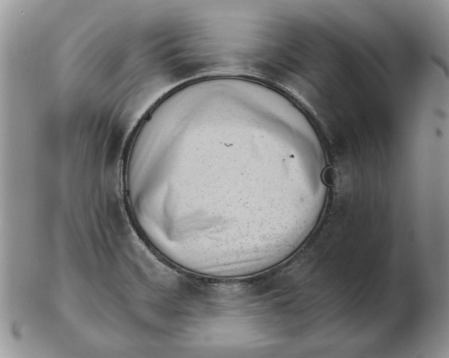 X0000102761468200809080930