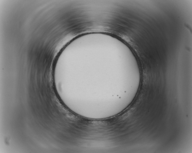 X0000102761469200809080930