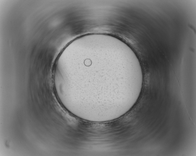 X0000102761470200809080930