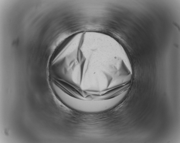 X0000102761471200809080930