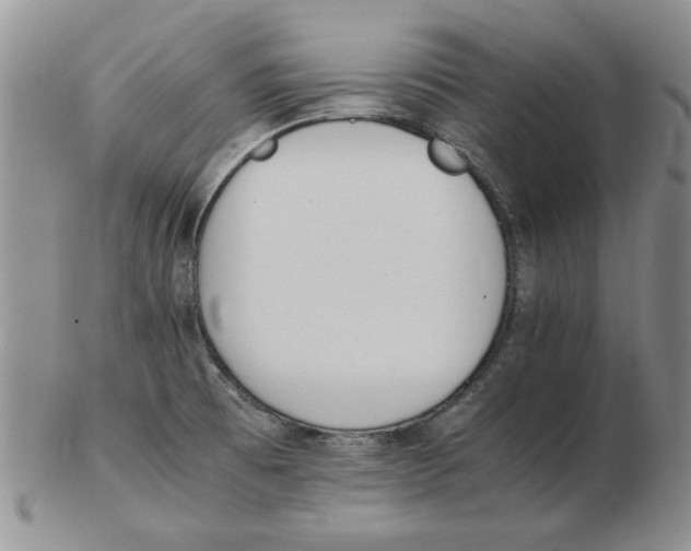 X0000102761473200809080930