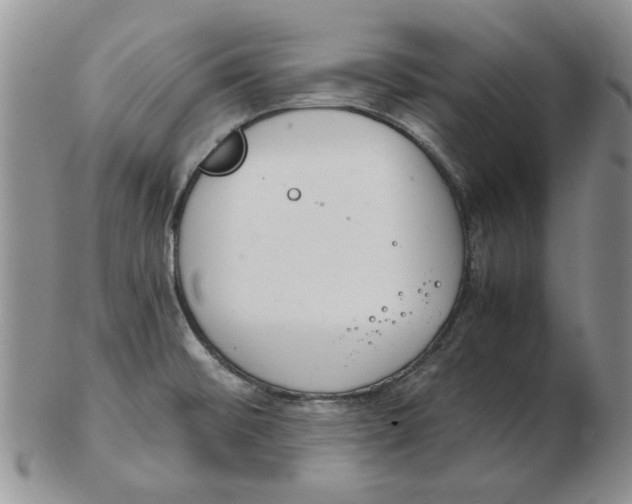 X0000102761476200809080930