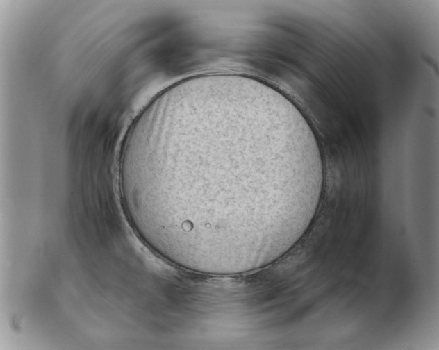 X0000102761478200809080930