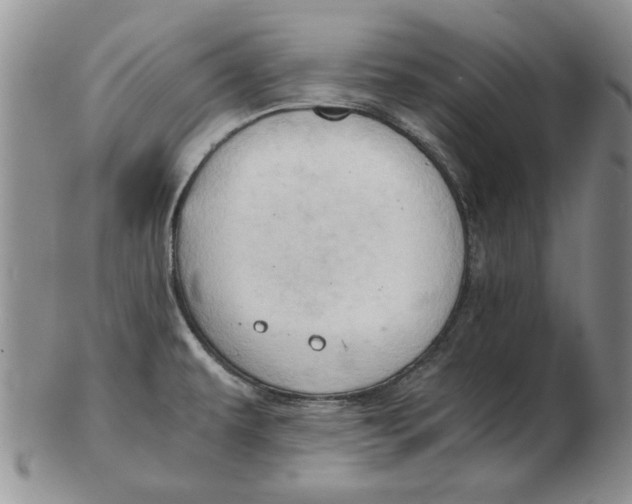 X0000102761479200809080930