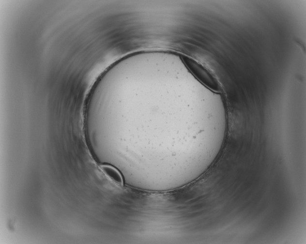 X0000102761480200809080930